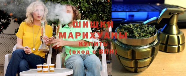 дживик Бронницы