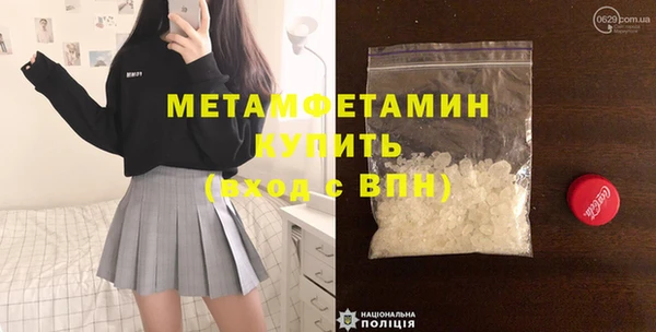 индика Богородицк