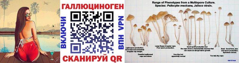 blacksprut сайт  купить наркотик  Мензелинск  Псилоцибиновые грибы мухоморы 